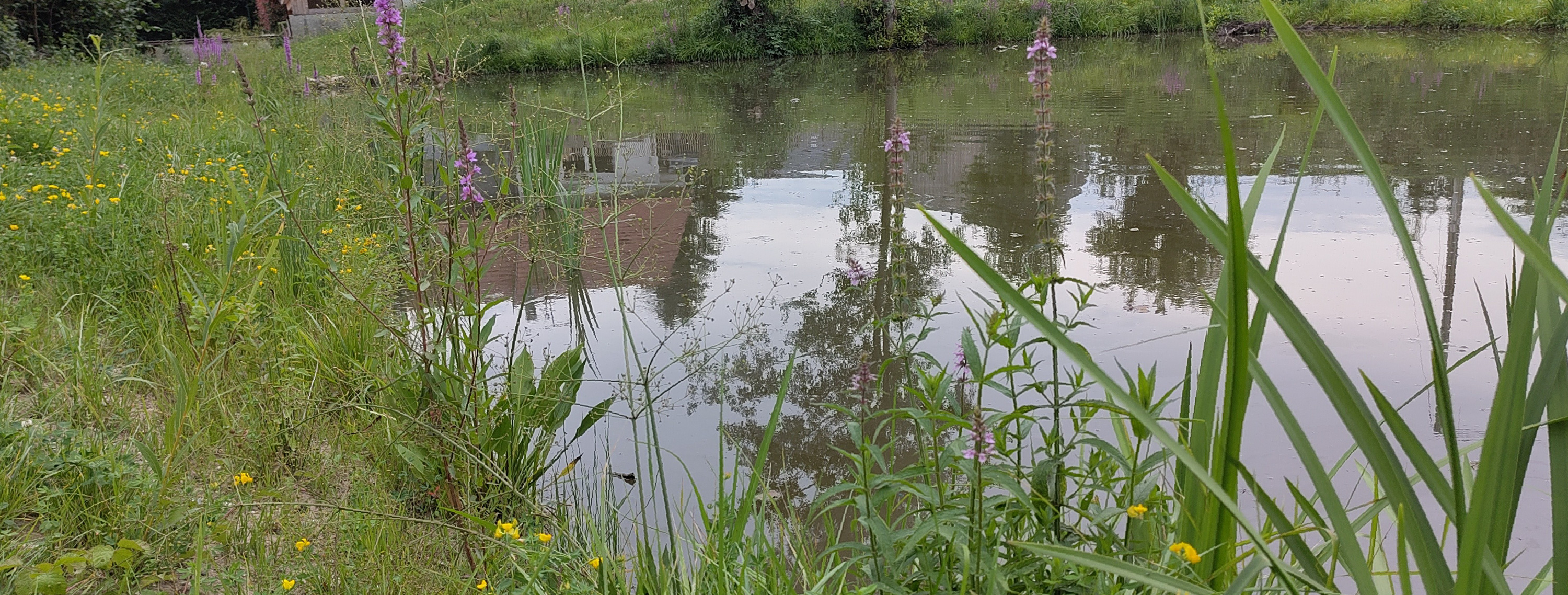 Site